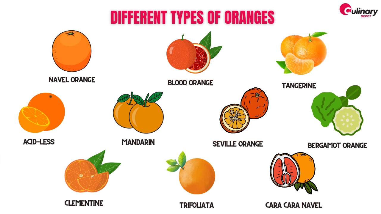 Different Types of Oranges — Cool Facts about them - Culinary Depot