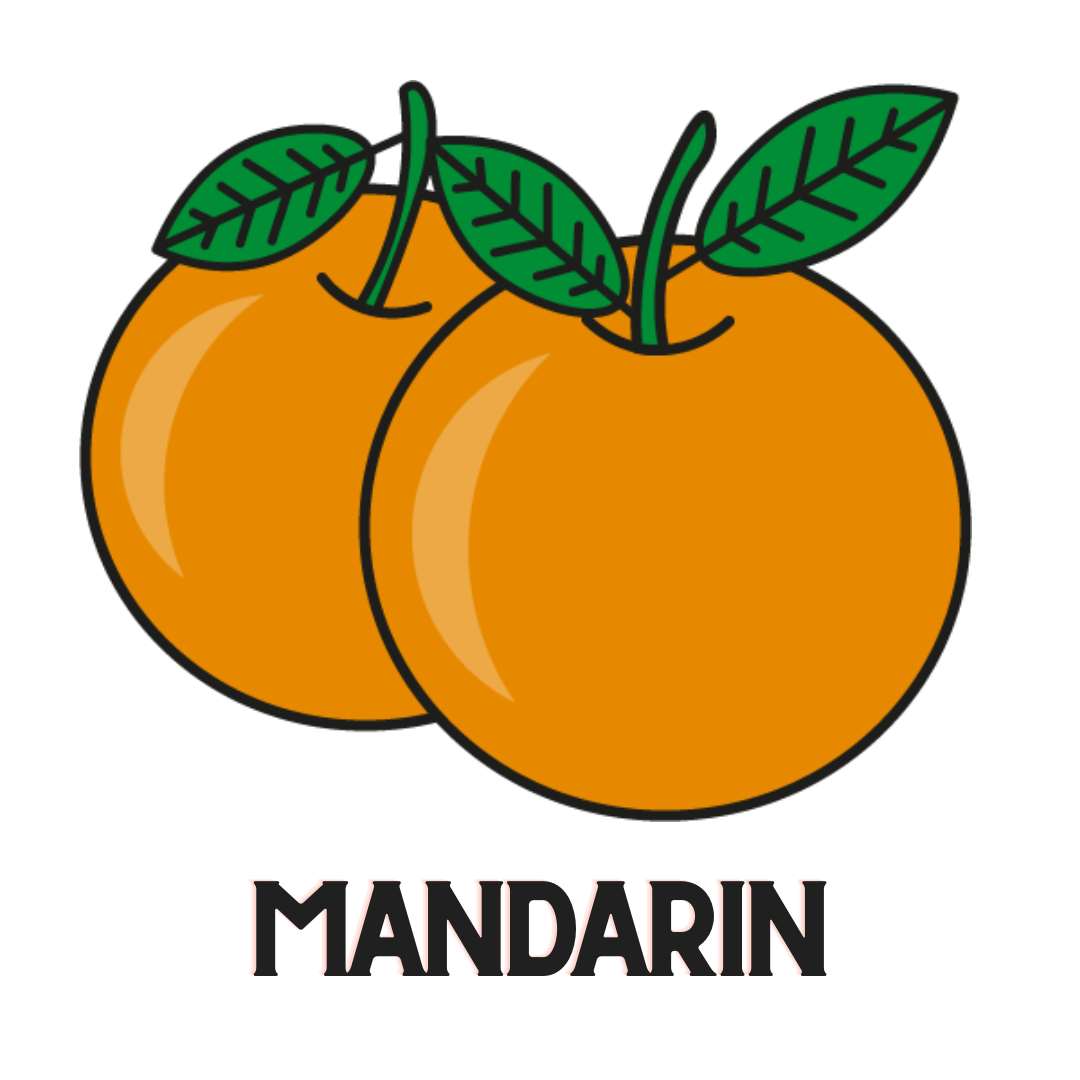 Cartoon orange fruit vector illustration - Print design ,label, icon logo  and stationary Stock Photo - Alamy