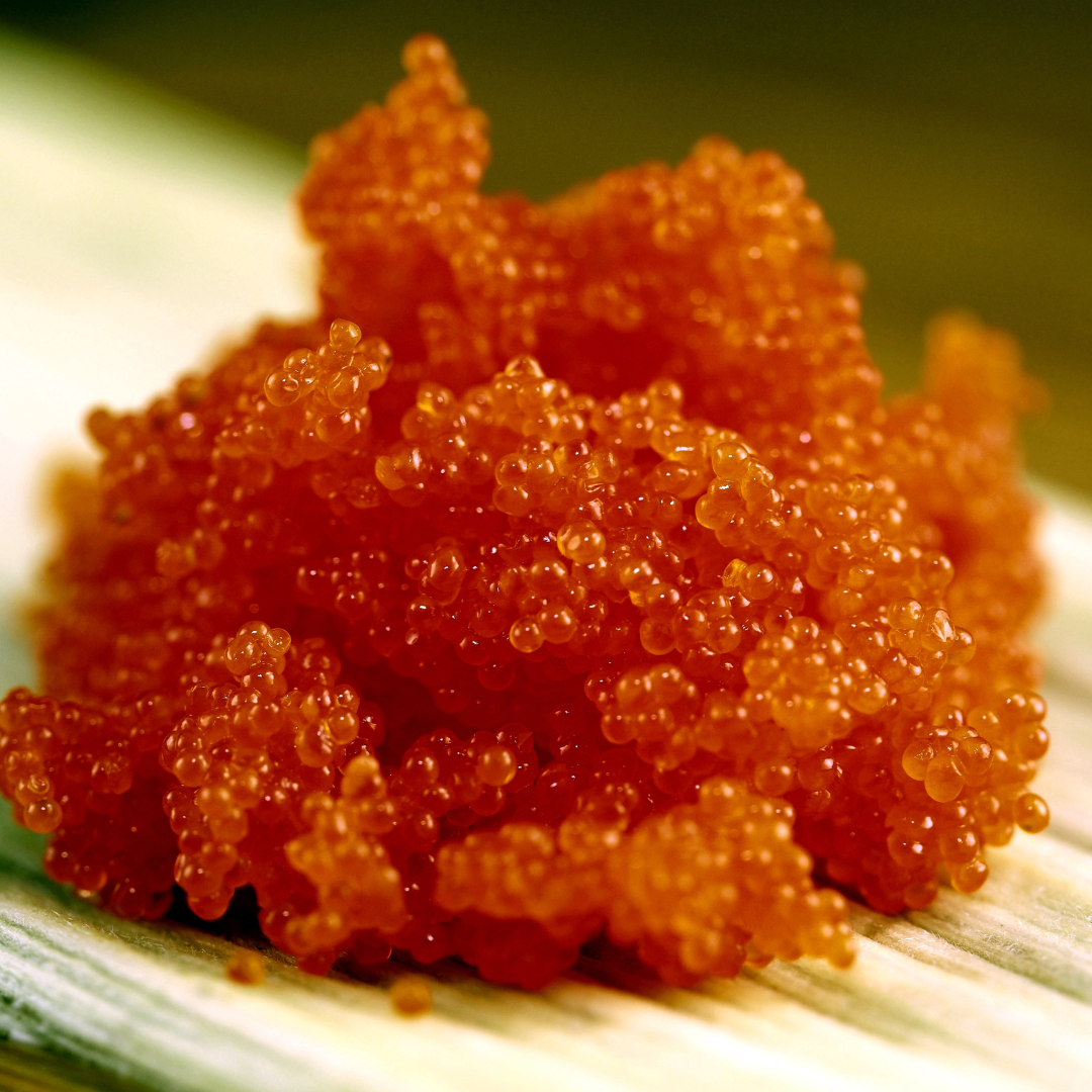 What is Masago? Dishes, Health Benefits and More - Culinary Depot